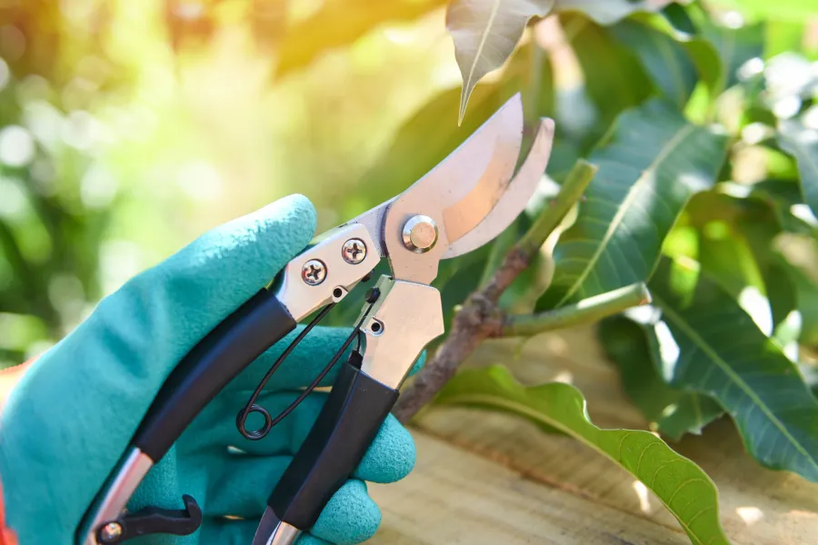 Gardening & Property Maintenance
